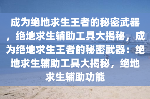 成为绝地求生王者的秘密武器，绝地求生辅助工具大揭秘，成为绝地求生王者的秘密武器：绝地求生辅助工具大揭秘，绝地求生辅助功能