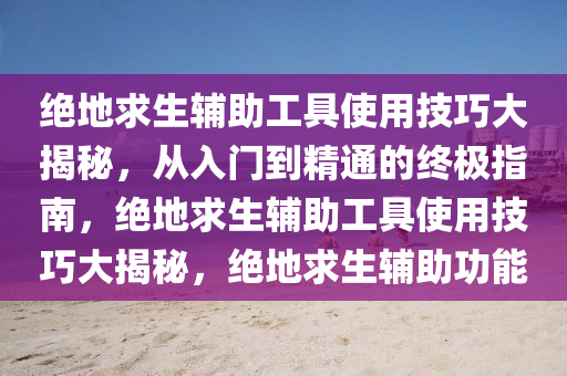 绝地求生辅助工具使用技巧大揭秘，从入门到精通的终极指南，绝地求生辅助工具使用技巧大揭秘，绝地求生辅助功能