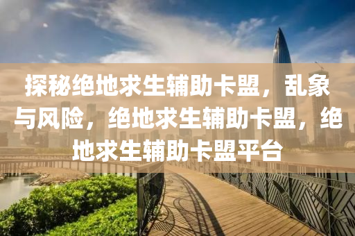 探秘绝地求生辅助卡盟，乱象与风险，绝地求生辅助卡盟，绝地求生辅助卡盟平台