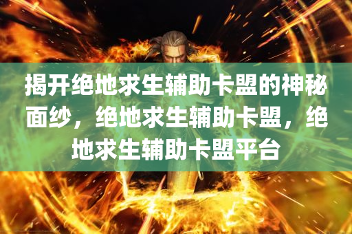 揭开绝地求生辅助卡盟的神秘面纱，绝地求生辅助卡盟，绝地求生辅助卡盟平台