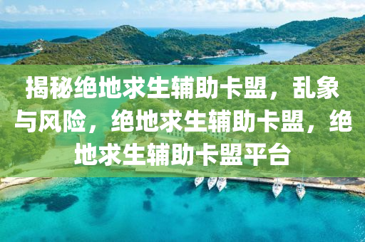 揭秘绝地求生辅助卡盟，乱象与风险，绝地求生辅助卡盟，绝地求生辅助卡盟平台