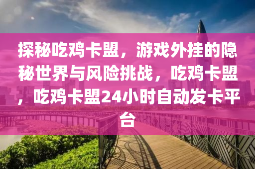 探秘吃鸡卡盟，游戏外挂的隐秘世界与风险挑战，吃鸡卡盟，吃鸡卡盟24小时自动发卡平台