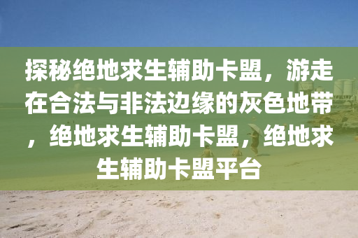 探秘绝地求生辅助卡盟，游走在合法与非法边缘的灰色地带，绝地求生辅助卡盟，绝地求生辅助卡盟平台