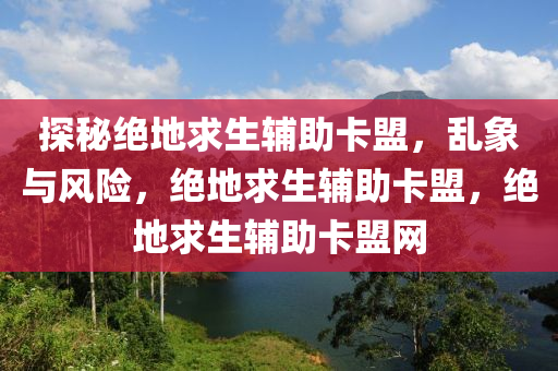 探秘绝地求生辅助卡盟，乱象与风险，绝地求生辅助卡盟，绝地求生辅助卡盟网