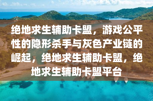 绝地求生辅助卡盟，游戏公平性的隐形杀手与灰色产业链的崛起，绝地求生辅助卡盟，绝地求生辅助卡盟平台