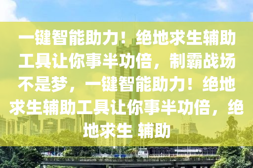 一键智能助力！绝地求生辅助工具让你事半功倍，制霸战场不是梦，一键智能助力！绝地求生辅助工具让你事半功倍，绝地求生 辅助