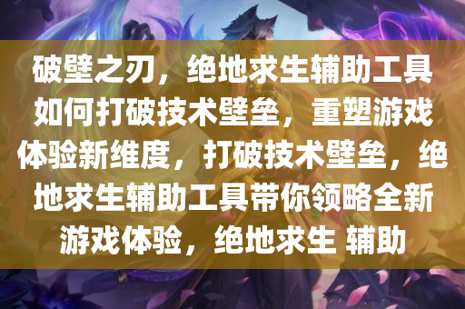 破壁之刃，绝地求生辅助工具如何打破技术壁垒，重塑游戏体验新维度，打破技术壁垒，绝地求生辅助工具带你领略全新游戏体验，绝地求生 辅助