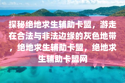 探秘绝地求生辅助卡盟，游走在合法与非法边缘的灰色地带，绝地求生辅助卡盟，绝地求生辅助卡盟网