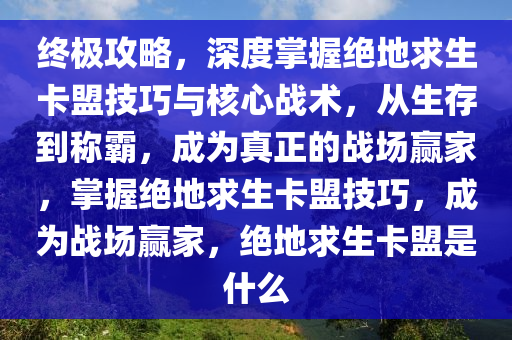 终极攻略，深度掌握绝地求生卡盟技巧与核心战术，从生存到称霸，成为真正的战场赢家，掌握绝地求生卡盟技巧，成为战场赢家，绝地求生卡盟是什么