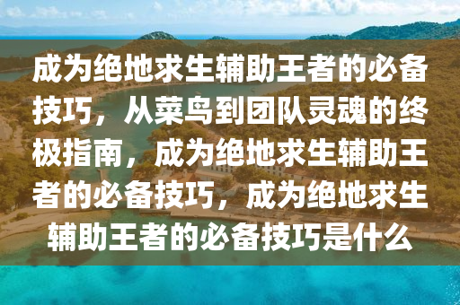 成为绝地求生辅助王者的必备技巧，从菜鸟到团队灵魂的终极指南，成为绝地求生辅助王者的必备技巧，成为绝地求生辅助王者的必备技巧是什么