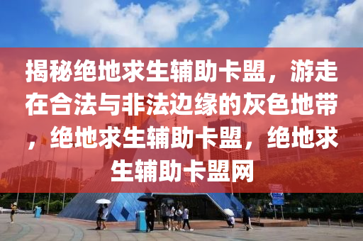 揭秘绝地求生辅助卡盟，游走在合法与非法边缘的灰色地带，绝地求生辅助卡盟，绝地求生辅助卡盟网