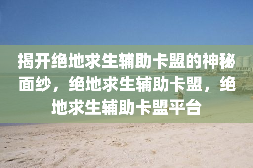 揭开绝地求生辅助卡盟的神秘面纱，绝地求生辅助卡盟，绝地求生辅助卡盟平台