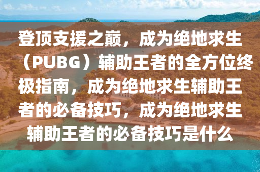 登顶支援之巅，成为绝地求生（PUBG）辅助王者的全方位终极指南，成为绝地求生辅助王者的必备技巧，成为绝地求生辅助王者的必备技巧是什么
