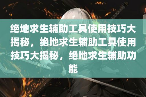绝地求生辅助工具使用技巧大揭秘，绝地求生辅助工具使用技巧大揭秘，绝地求生辅助功能