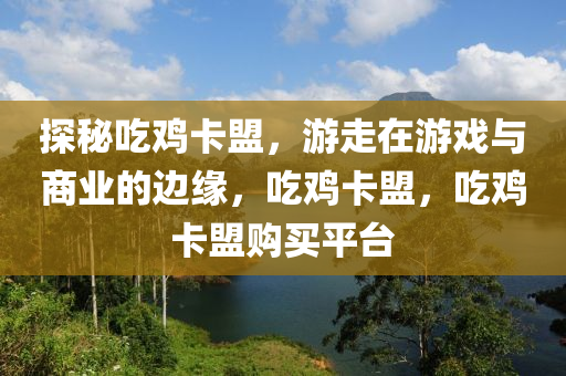 探秘吃鸡卡盟，游走在游戏与商业的边缘，吃鸡卡盟，吃鸡卡盟购买平台