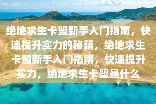 绝地求生卡盟新手入门指南，快速提升实力的秘籍，绝地求生卡盟新手入门指南，快速提升实力，绝地求生卡盟是什么