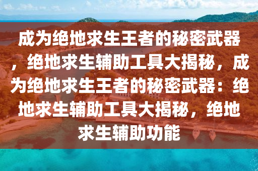 成为绝地求生王者的秘密武器，绝地求生辅助工具大揭秘，成为绝地求生王者的秘密武器：绝地求生辅助工具大揭秘，绝地求生辅助功能