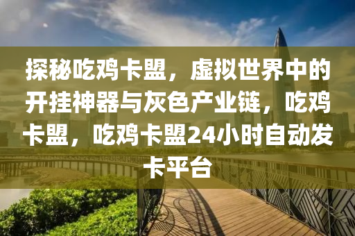 探秘吃鸡卡盟，虚拟世界中的开挂神器与灰色产业链，吃鸡卡盟，吃鸡卡盟24小时自动发卡平台