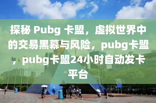 探秘 Pubg 卡盟，虚拟世界中的交易黑幕与风险，pubg卡盟，pubg卡盟24小时自动发卡平台