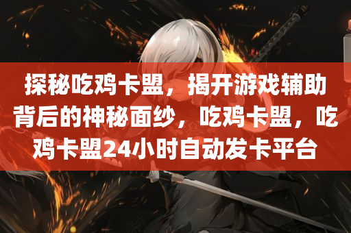 探秘吃鸡卡盟，揭开游戏辅助背后的神秘面纱，吃鸡卡盟，吃鸡卡盟24小时自动发卡平台