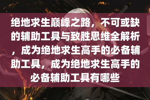 绝地求生巅峰之路，不可或缺的辅助工具与致胜思维全解析，成为绝地求生高手的必备辅助工具，成为绝地求生高手的必备辅助工具有哪些
