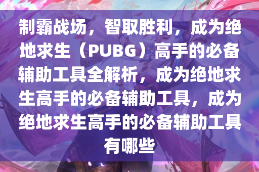 制霸战场,智取胜利,成为绝地求生(PUBG)高手的必备辅助工具全解析,成为绝地求生高手的必备辅助工具,成为绝地求生高手的必备辅助工具有哪些
