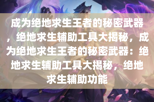 成为绝地求生王者的秘密武器，绝地求生辅助工具大揭秘，成为绝地求生王者的秘密武器：绝地求生辅助工具大揭秘，绝地求生辅助功能