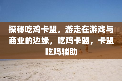 探秘吃鸡卡盟，游走在游戏与商业的边缘，吃鸡卡盟，卡盟吃鸡辅助