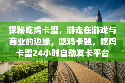 探秘吃鸡卡盟，游走在游戏与商业的边缘，吃鸡卡盟，吃鸡卡盟24小时自动发卡平台