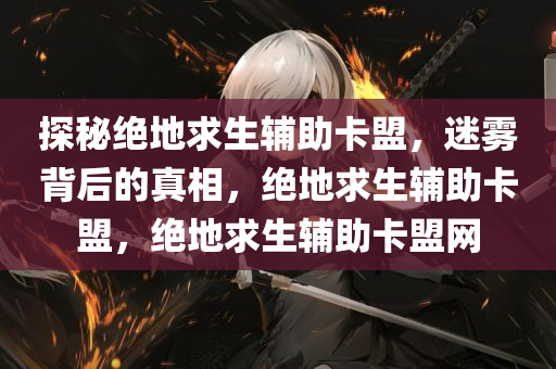 探秘绝地求生辅助卡盟，迷雾背后的真相，绝地求生辅助卡盟，绝地求生辅助卡盟网