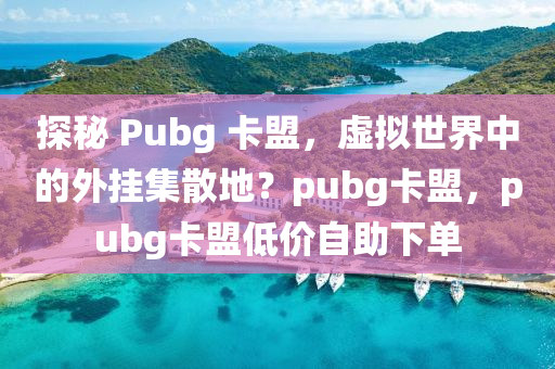 探秘 Pubg 卡盟，虚拟世界中的外挂集散地？pubg卡盟，pubg卡盟低价自助下单