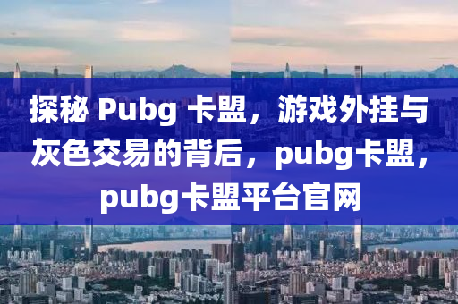 探秘 Pubg 卡盟，游戏外挂与灰色交易的背后，pubg卡盟，pubg卡盟平台官网