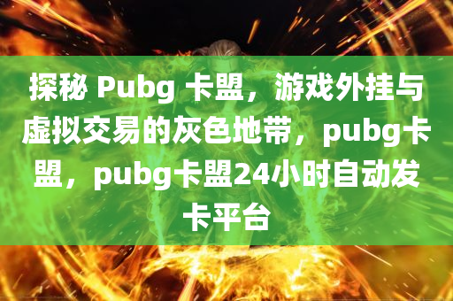 探秘 Pubg 卡盟，游戏外挂与虚拟交易的灰色地带，pubg卡盟，pubg卡盟24小时自动发卡平台