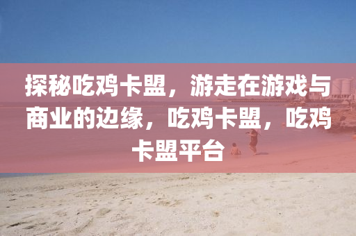 探秘吃鸡卡盟，游走在游戏与商业的边缘，吃鸡卡盟，吃鸡卡盟平台
