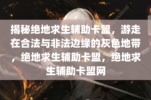 揭秘绝地求生辅助卡盟，游走在合法与非法边缘的灰色地带，绝地求生辅助卡盟，绝地求生辅助卡盟网