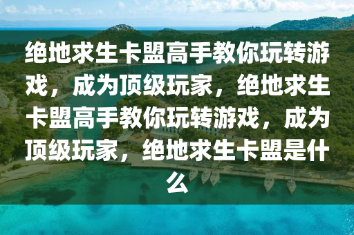绝地求生卡盟高手教你玩转游戏,成为顶级玩家,绝地求生卡盟高手教你玩转游戏,成为顶级玩家,绝地求生卡盟是什么