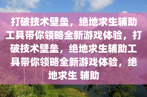 打破技术壁垒，绝地求生辅助工具带你领略全新游戏体验，打破技术壁垒，绝地求生辅助工具带你领略全新游戏体验，绝地求生 辅助