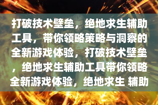 打破技术壁垒，绝地求生辅助工具，带你领略策略与洞察的全新游戏体验，打破技术壁垒，绝地求生辅助工具带你领略全新游戏体验，绝地求生 辅助
