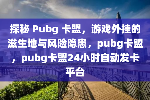 探秘 Pubg 卡盟，游戏外挂的滋生地与风险隐患，pubg卡盟，pubg卡盟24小时自动发卡平台