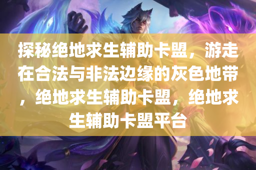 探秘绝地求生辅助卡盟，游走在合法与非法边缘的灰色地带，绝地求生辅助卡盟，绝地求生辅助卡盟平台