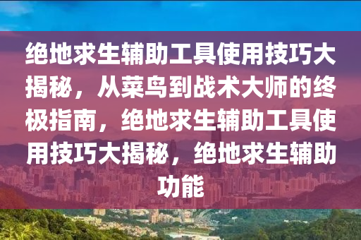 绝地求生辅助工具使用技巧大揭秘，从菜鸟到战术大师的终极指南，绝地求生辅助工具使用技巧大揭秘，绝地求生辅助功能