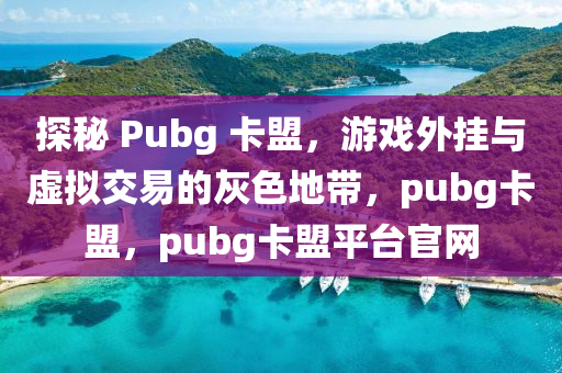 探秘 Pubg 卡盟，游戏外挂与虚拟交易的灰色地带，pubg卡盟，pubg卡盟平台官网