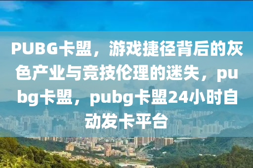 PUBG卡盟，游戏捷径背后的灰色产业与竞技伦理的迷失，pubg卡盟，pubg卡盟24小时自动发卡平台