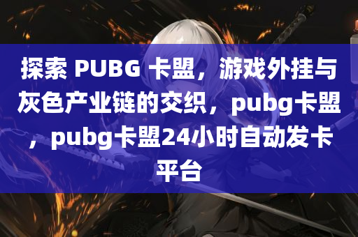 探索 PUBG 卡盟，游戏外挂与灰色产业链的交织，pubg卡盟，pubg卡盟24小时自动发卡平台