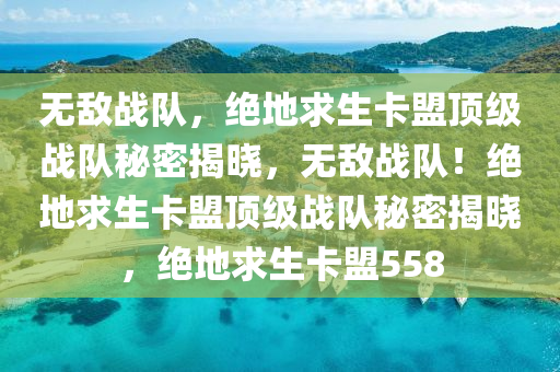 无敌战队，绝地求生卡盟顶级战队秘密揭晓，无敌战队！绝地求生卡盟顶级战队秘密揭晓，绝地求生卡盟558