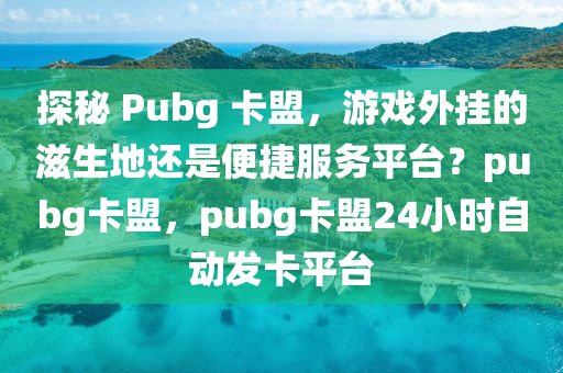 探秘 Pubg 卡盟，游戏外挂的滋生地还是便捷服务平台？pubg卡盟，pubg卡盟24小时自动发卡平台