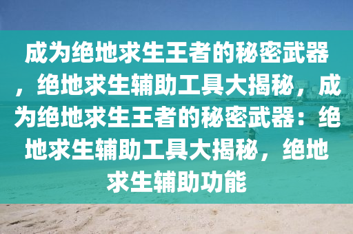 成为绝地求生王者的秘密武器，绝地求生辅助工具大揭秘，成为绝地求生王者的秘密武器：绝地求生辅助工具大揭秘，绝地求生辅助功能
