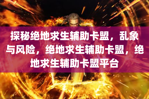 探秘绝地求生辅助卡盟，乱象与风险，绝地求生辅助卡盟，绝地求生辅助卡盟平台