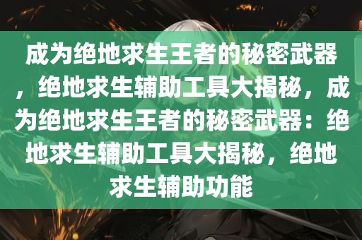 成为绝地求生王者的秘密武器，绝地求生辅助工具大揭秘，成为绝地求生王者的秘密武器：绝地求生辅助工具大揭秘，绝地求生辅助功能