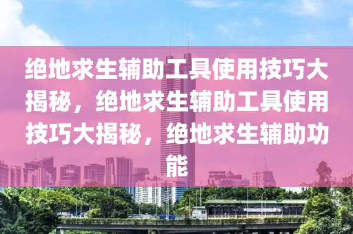 绝地求生辅助工具使用技巧大揭秘，绝地求生辅助工具使用技巧大揭秘，绝地求生辅助功能